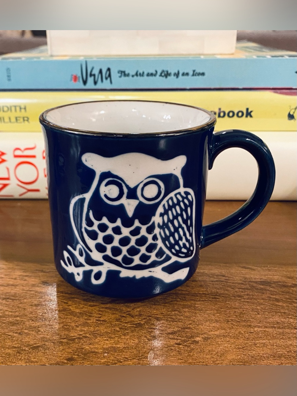 Vtg 70s Otagiri Hand-painted Embossed Owl Blue Stoneware Mug w Brown Rim Japan